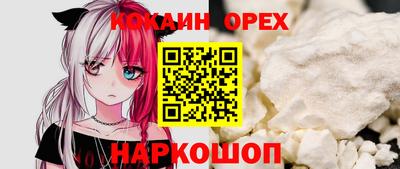 сатива Новозыбков