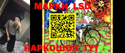 сатива Новозыбков