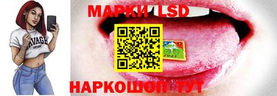 сатива Новозыбков
