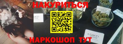 сатива Новозыбков
