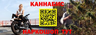 сатива Новозыбков