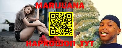 сатива Новозыбков