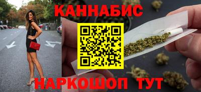 сатива Новозыбков