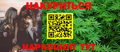 сатива Новозыбков