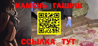 сатива Новозыбков