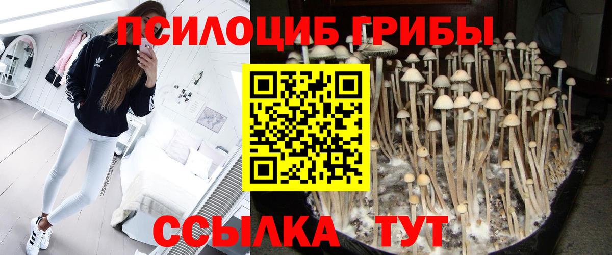 Донецк  Галлюциногенные грибы ЛСД  Вход с VPN  Галлюциногенные грибы прущие грибы 